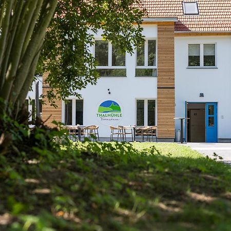 Thalmühle Apart otel Meisdorf Dış mekan fotoğraf