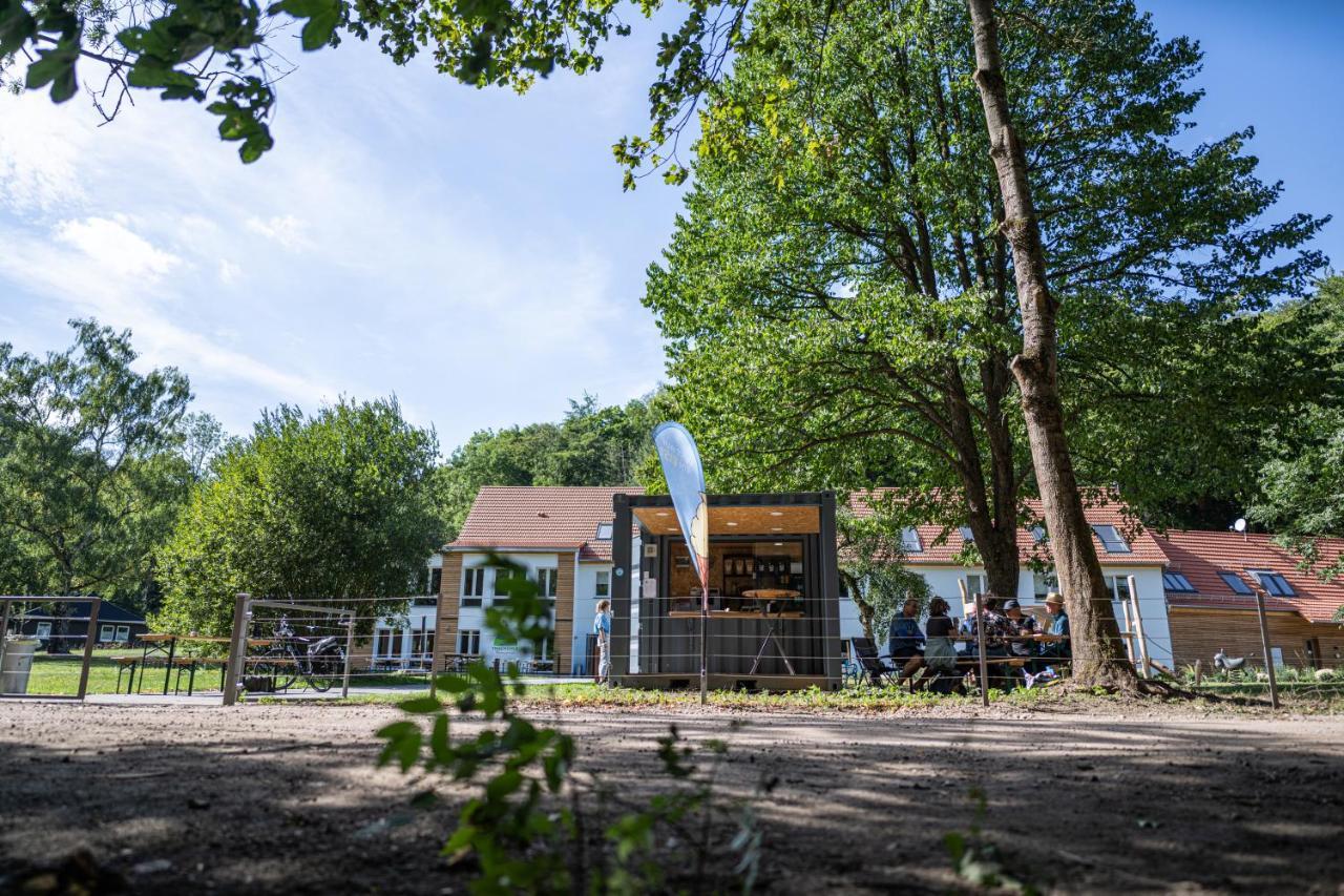 Thalmühle Apart otel Meisdorf Dış mekan fotoğraf