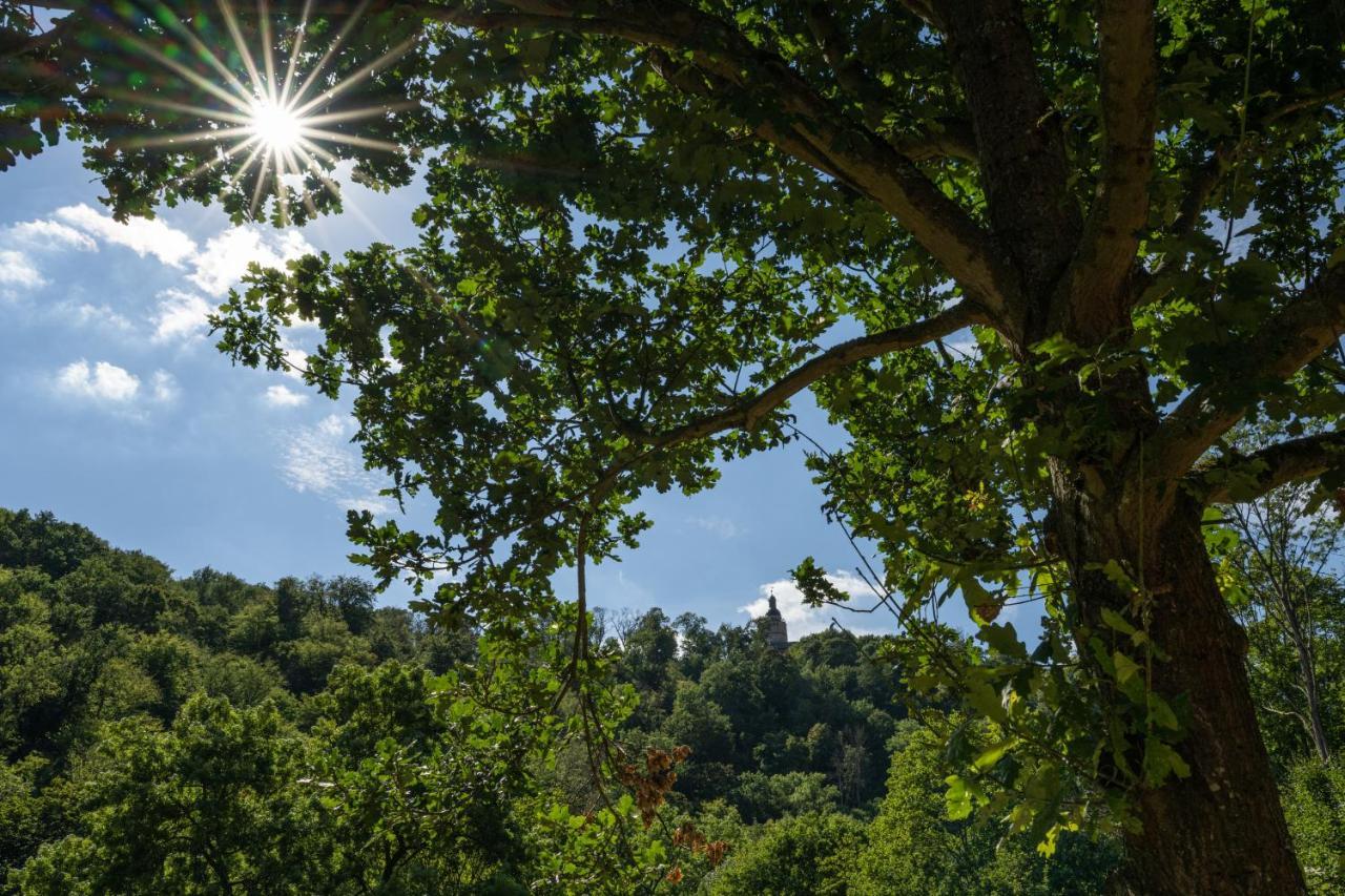Thalmühle Apart otel Meisdorf Dış mekan fotoğraf